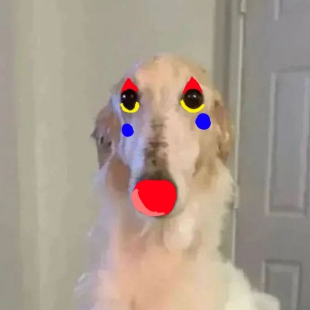 !!Zoi the clown!!