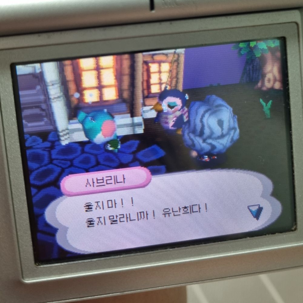 수라니