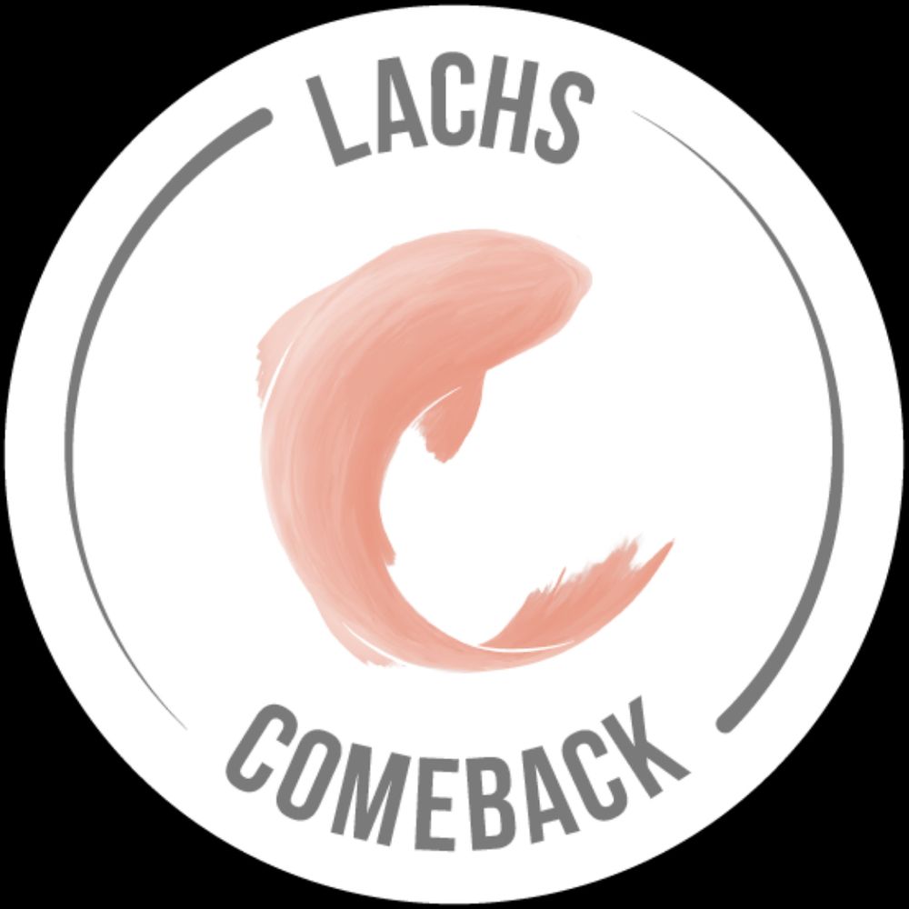 Lachs Comeback