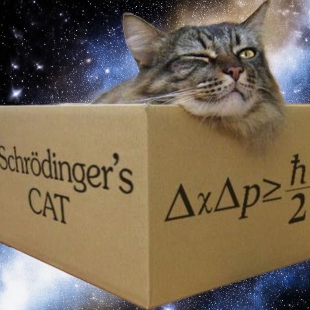 Schrödinger's Cat