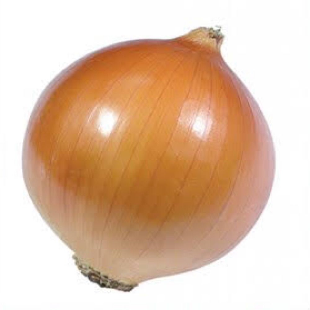 Kuru Soğan