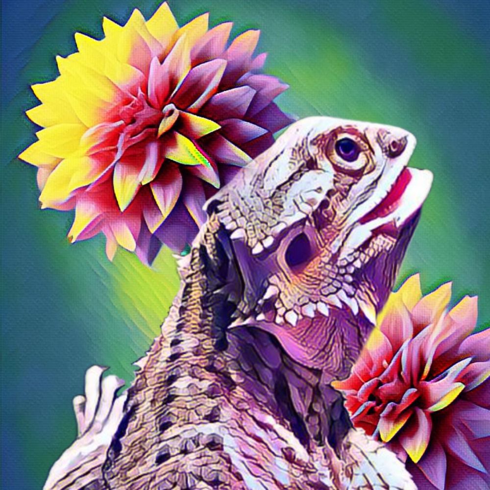 Profile picture locallizardlady.bsky.social