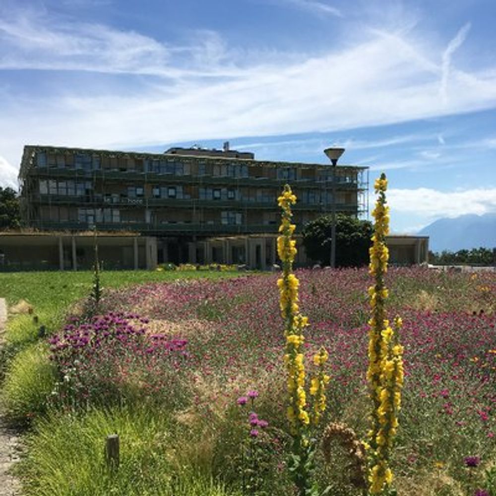 DMF UNIL