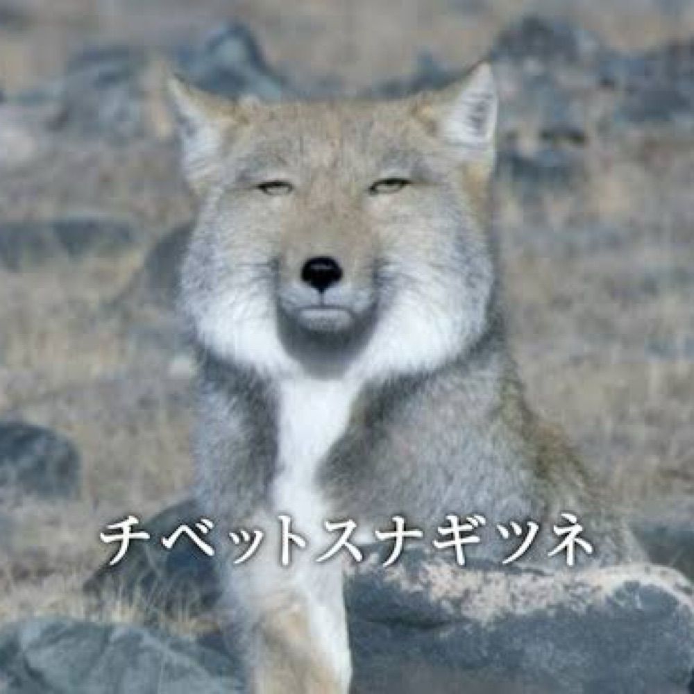 Kイ雪