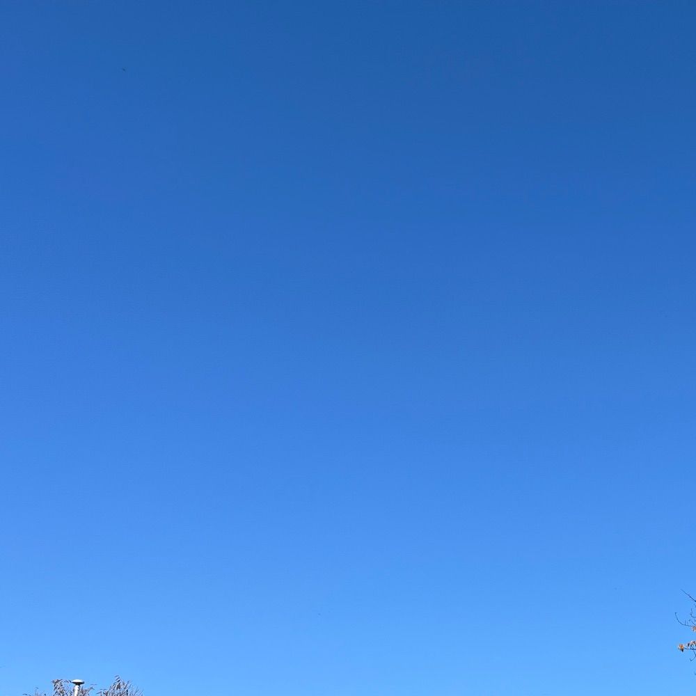 moo