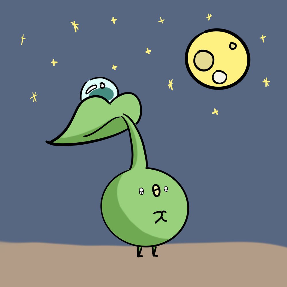 디웃
