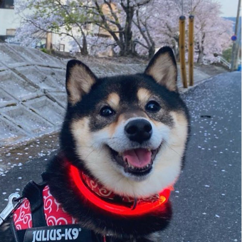 aska