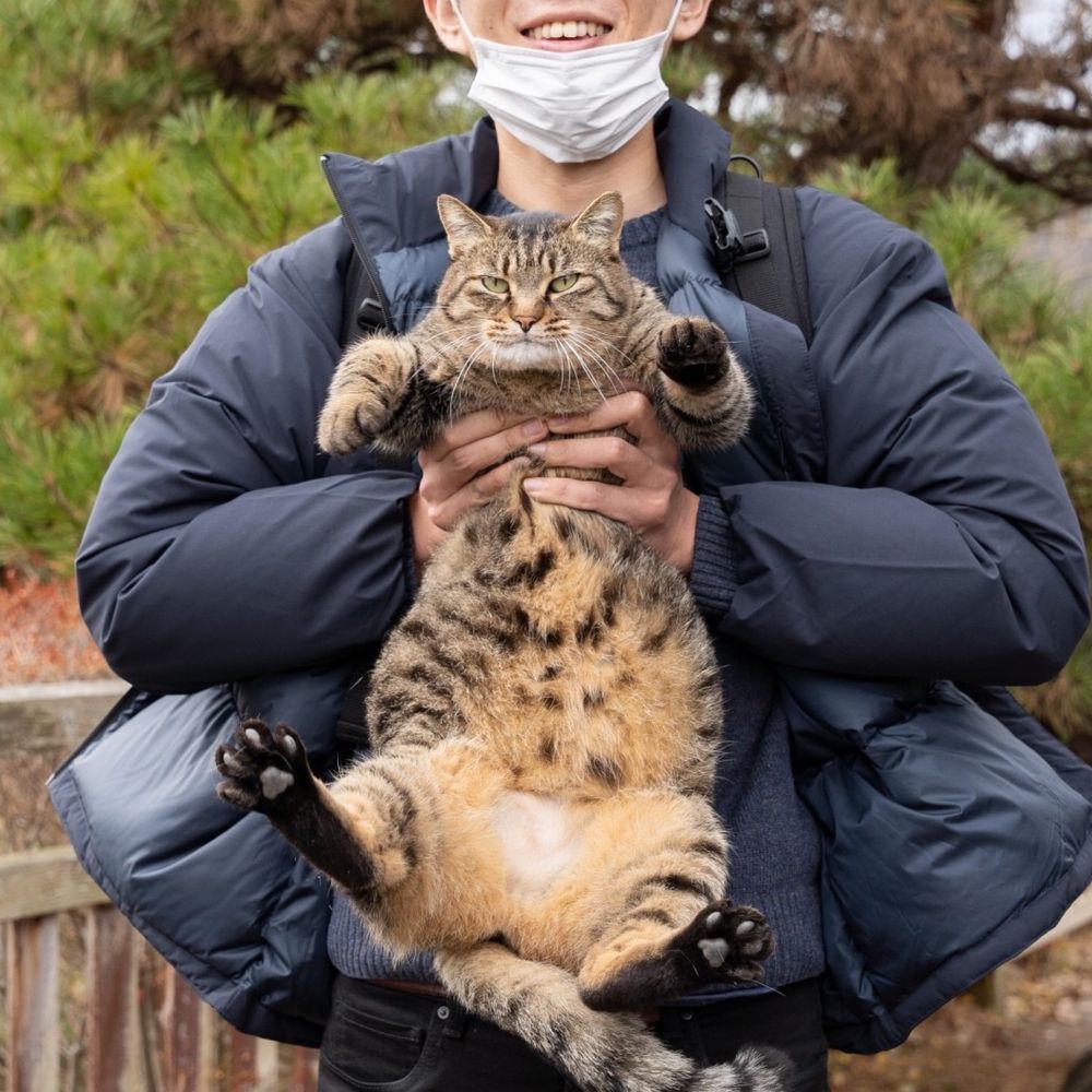 かーしま