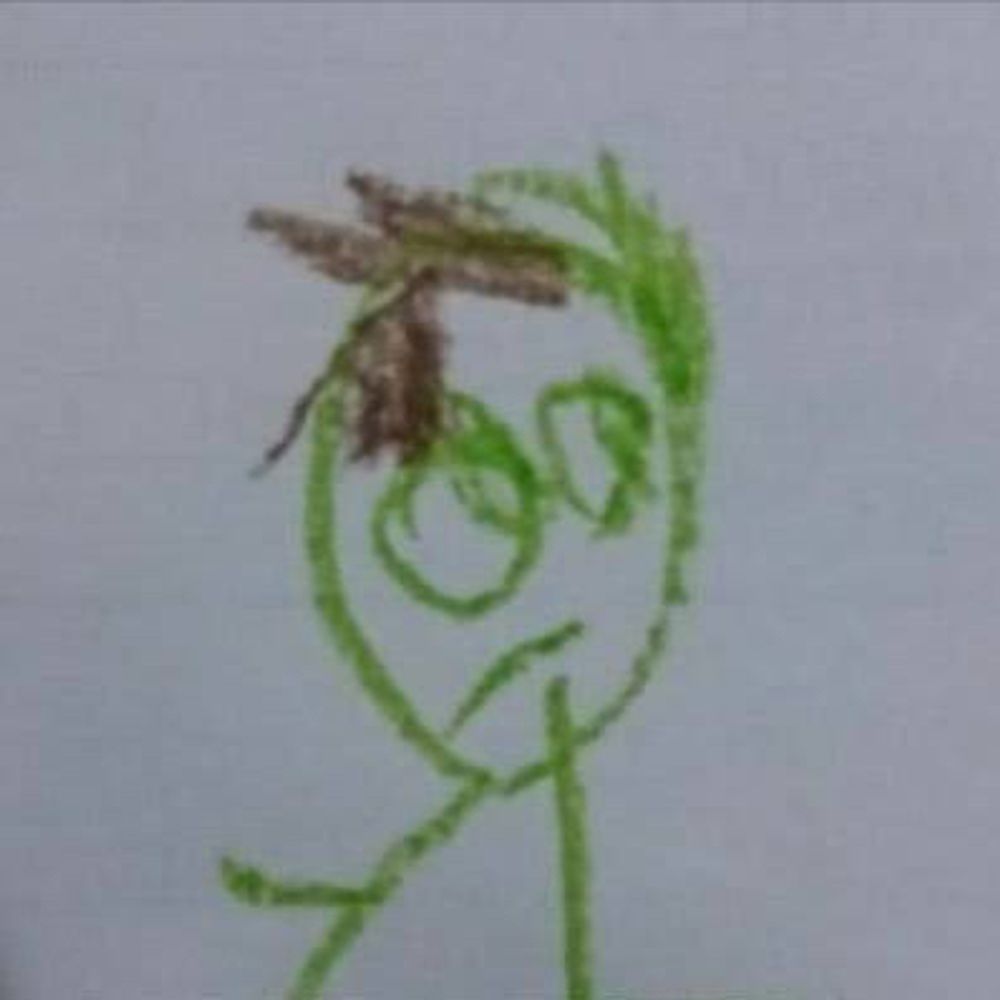 bttlborn.bsky.social profile picture