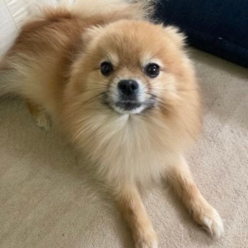 ソラ