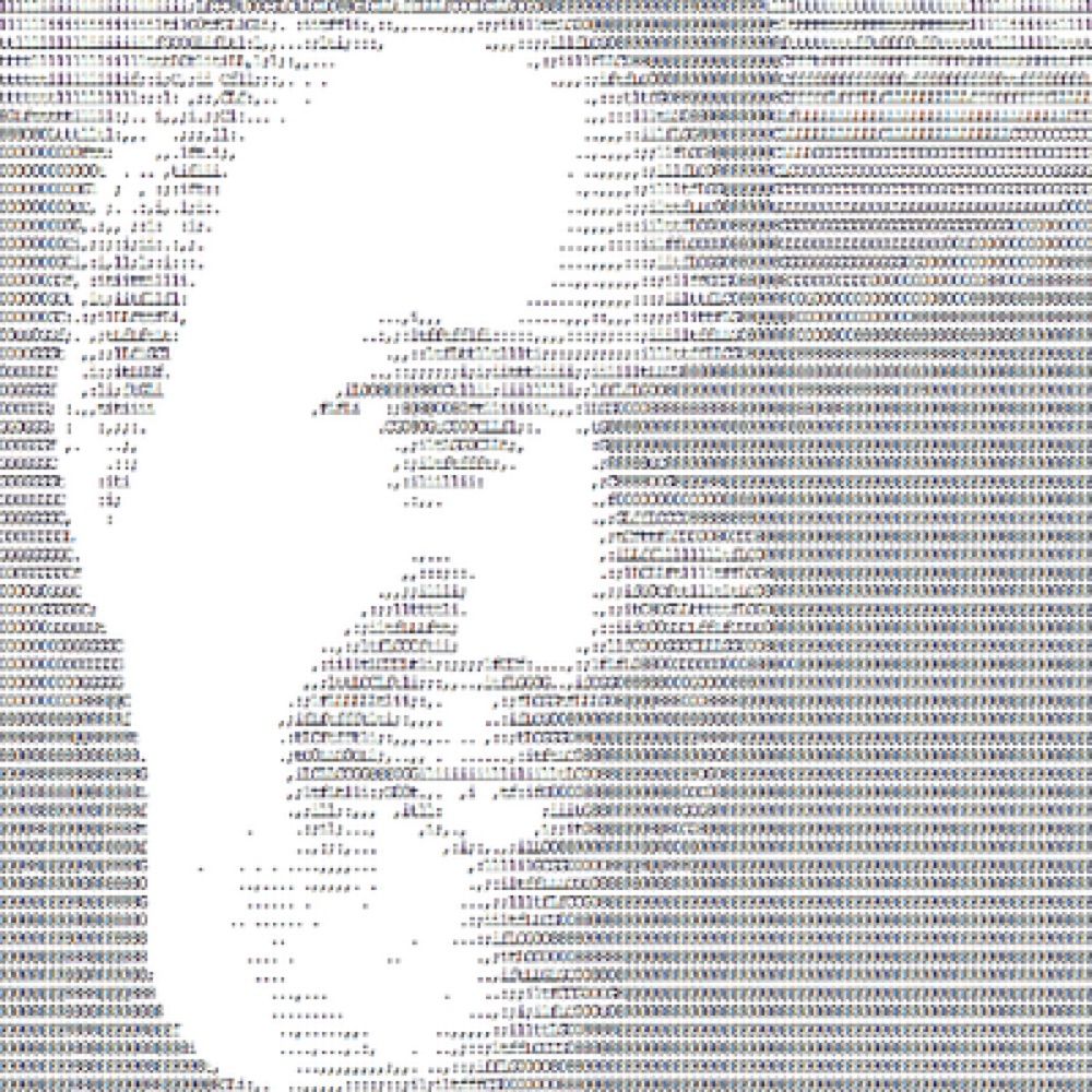 Curtis NøBody