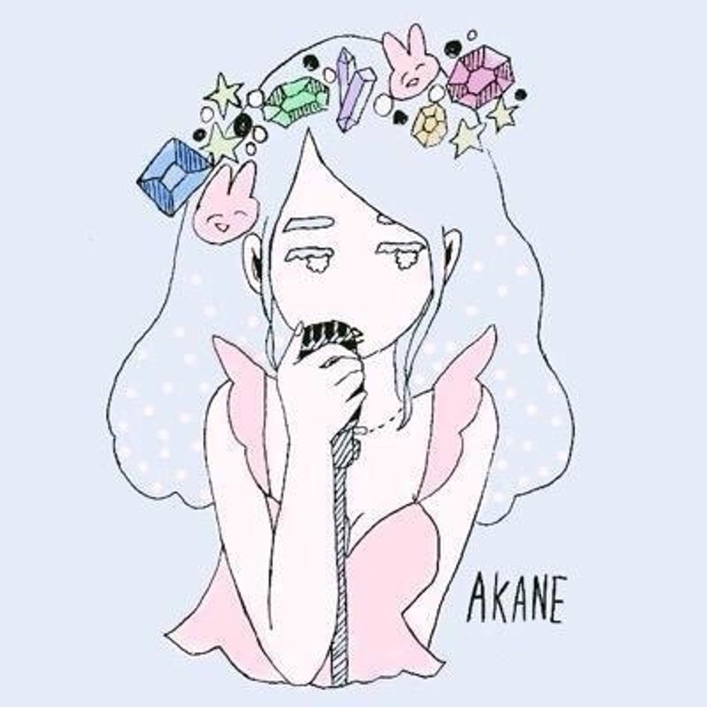 Aknet🍙