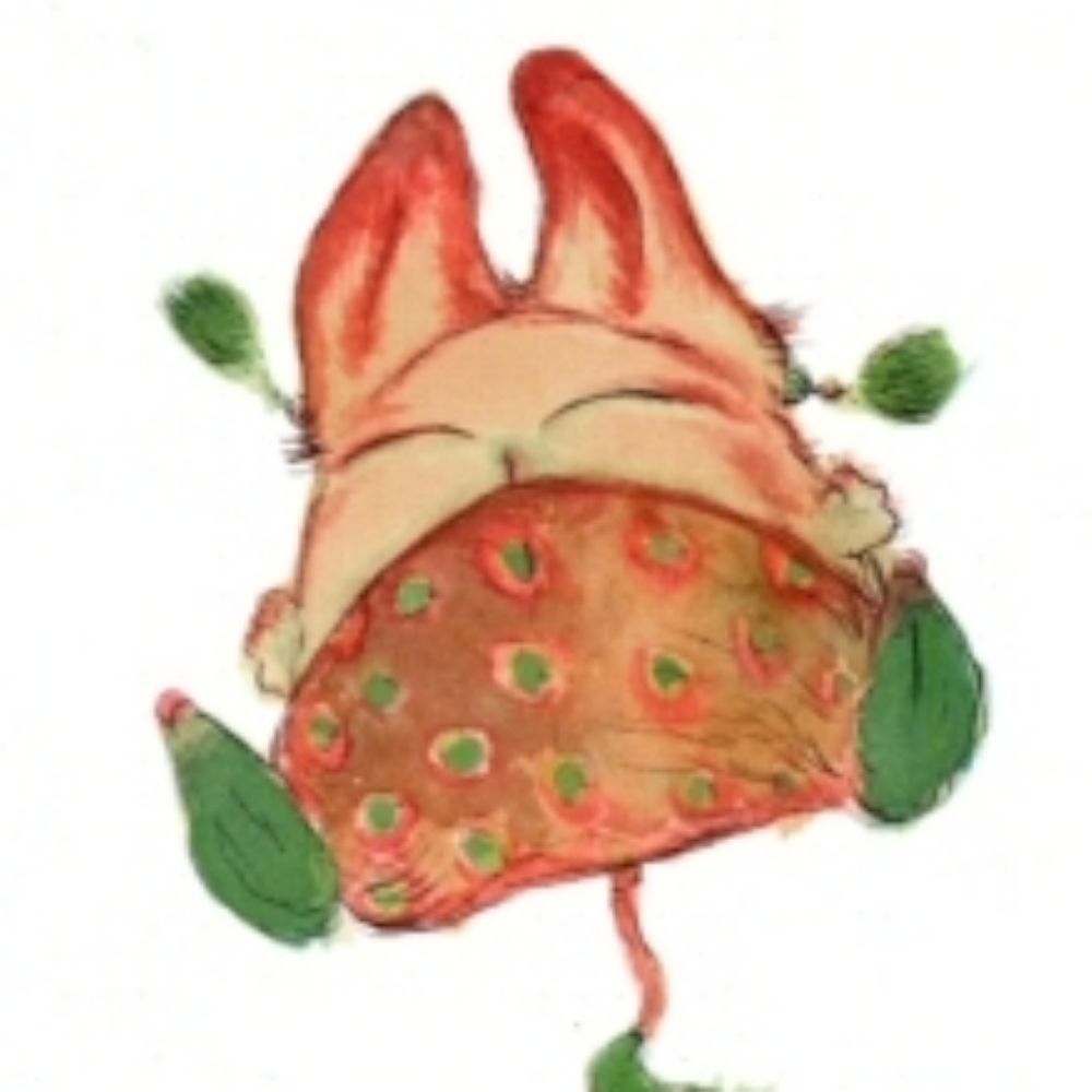 Pluchi