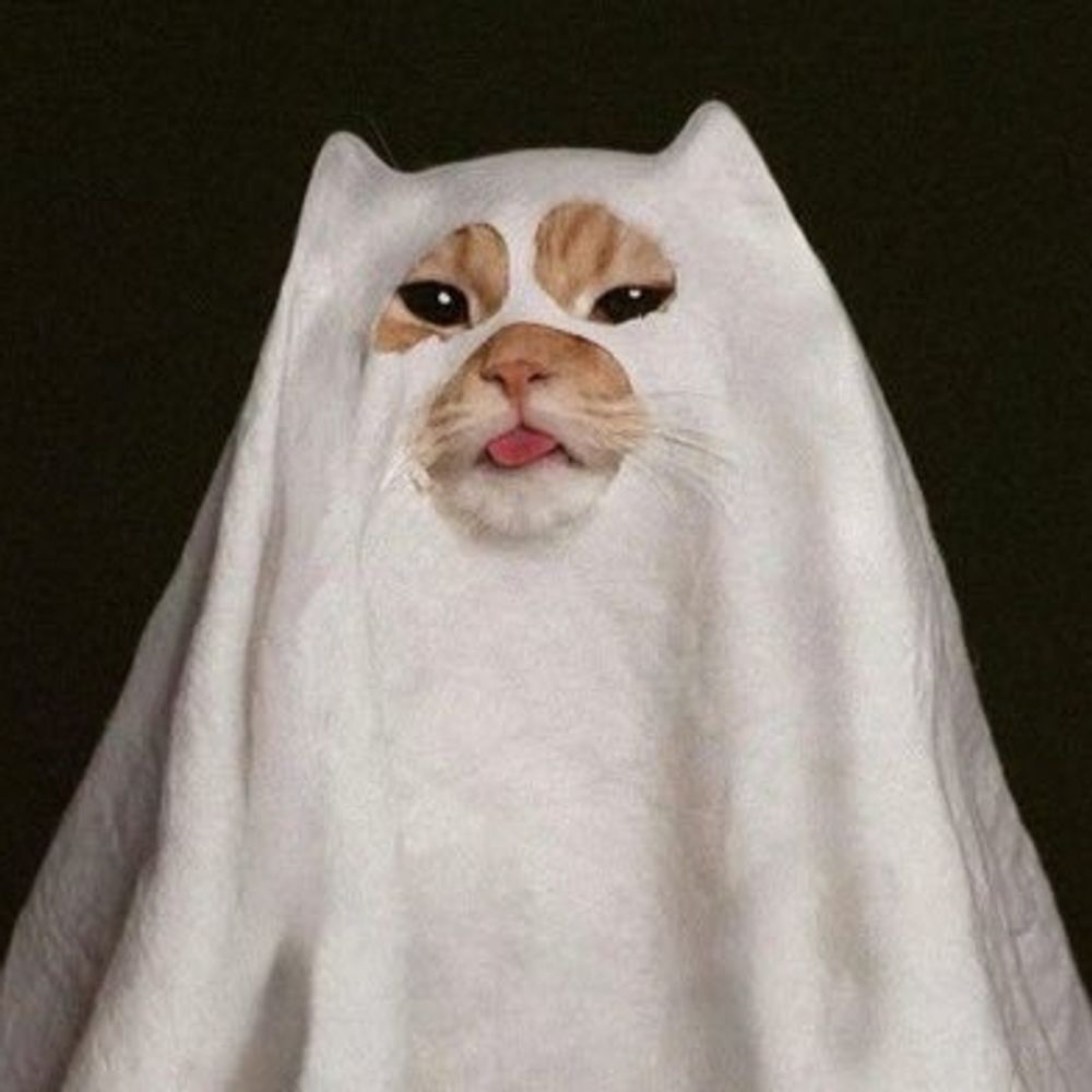 Trip to cats world