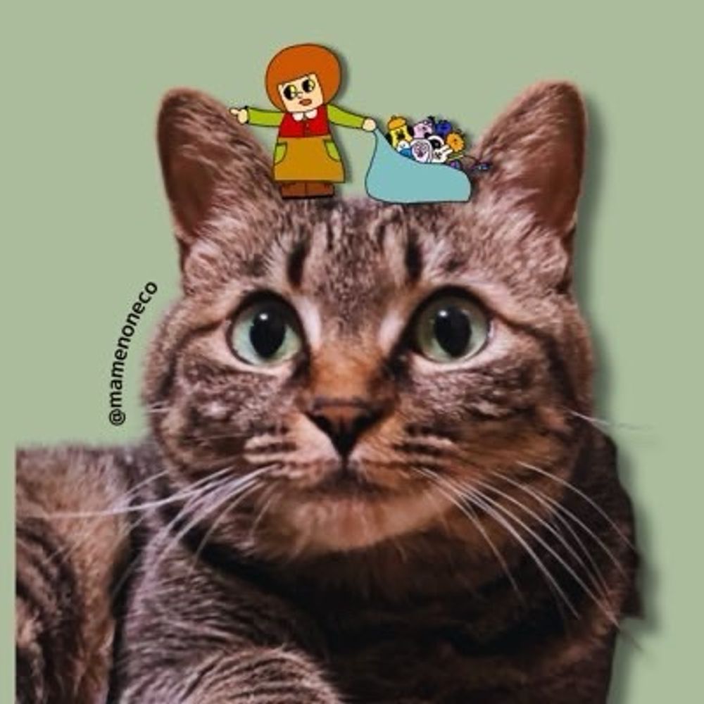 🐱まめ🐢