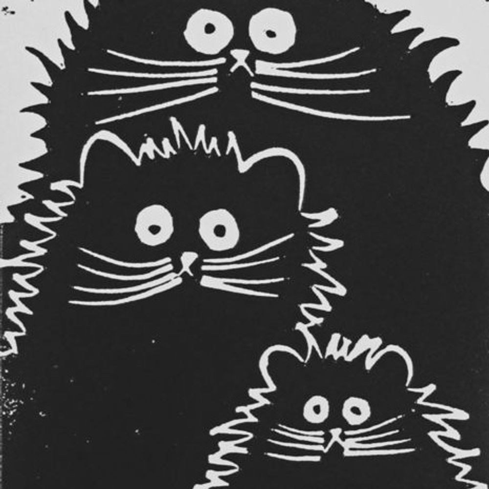 3x schwarzer Kater