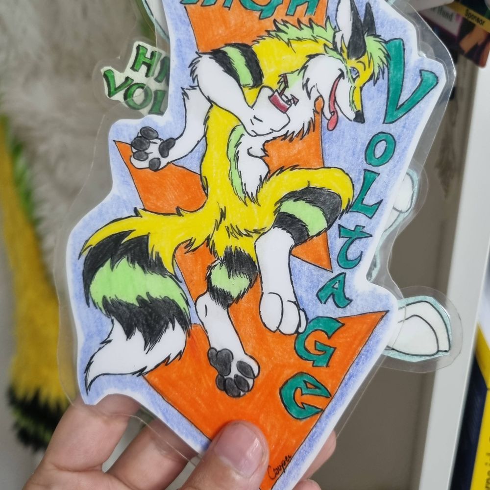 BingoDerHusky