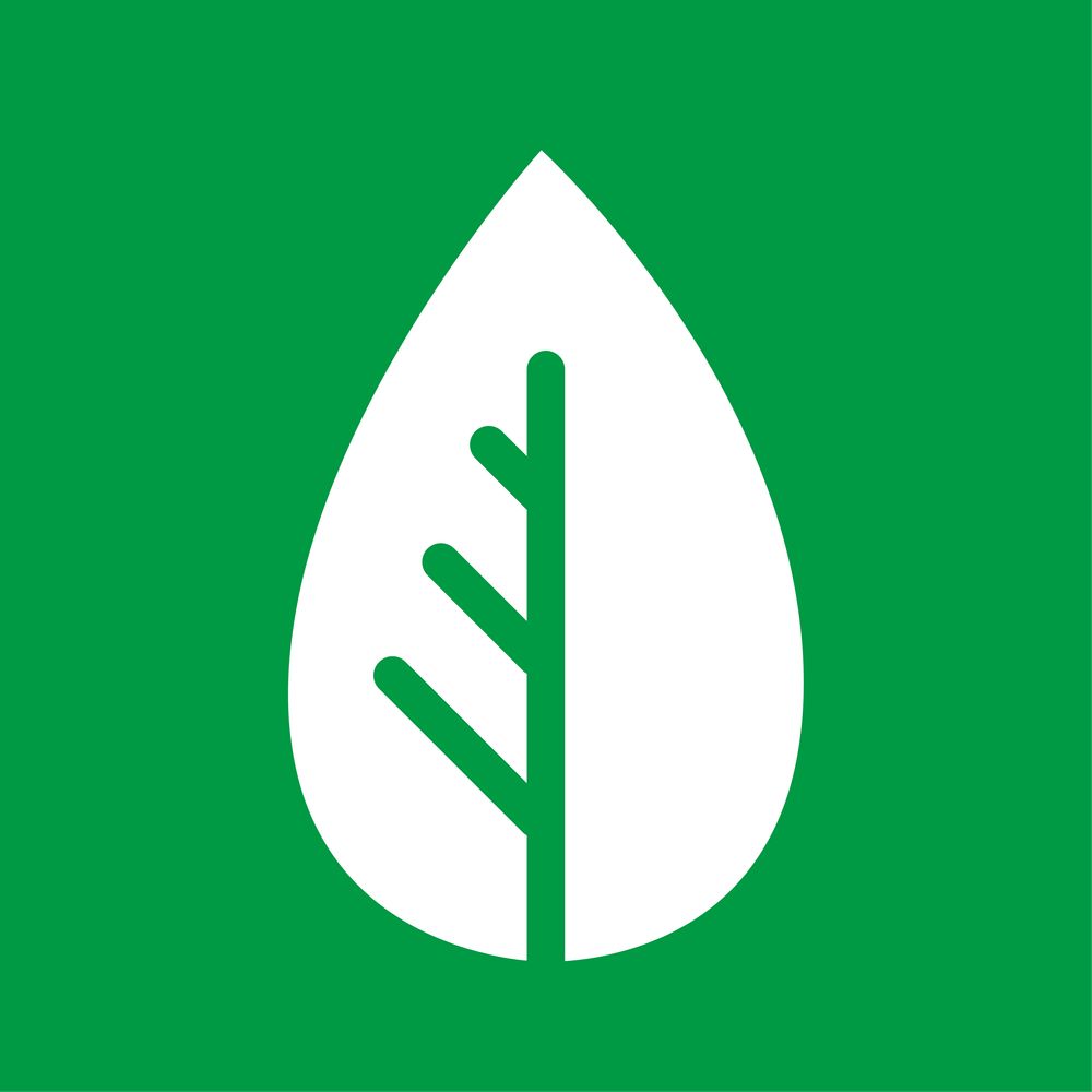 De Jonge Klimaatbeweging