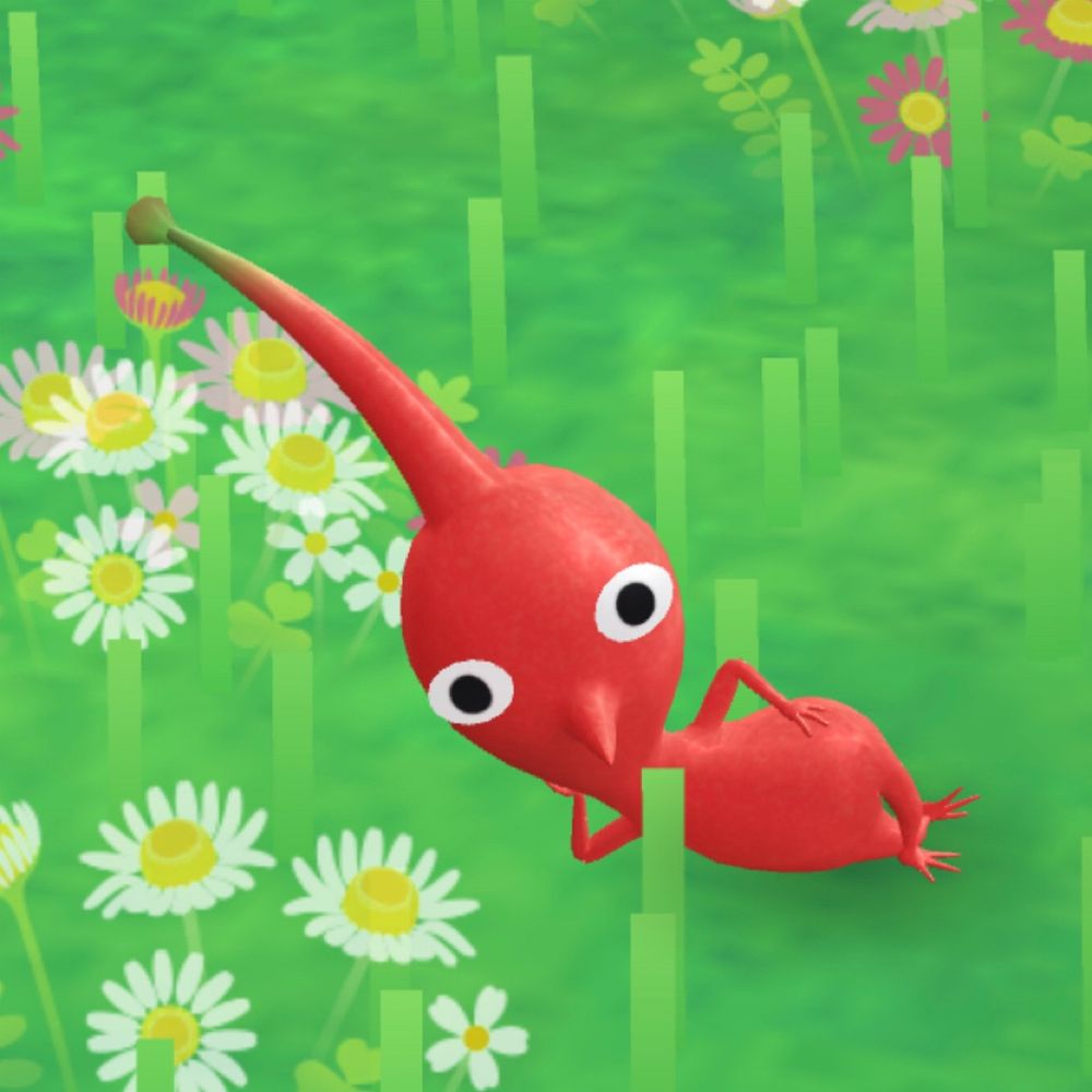 바리스타