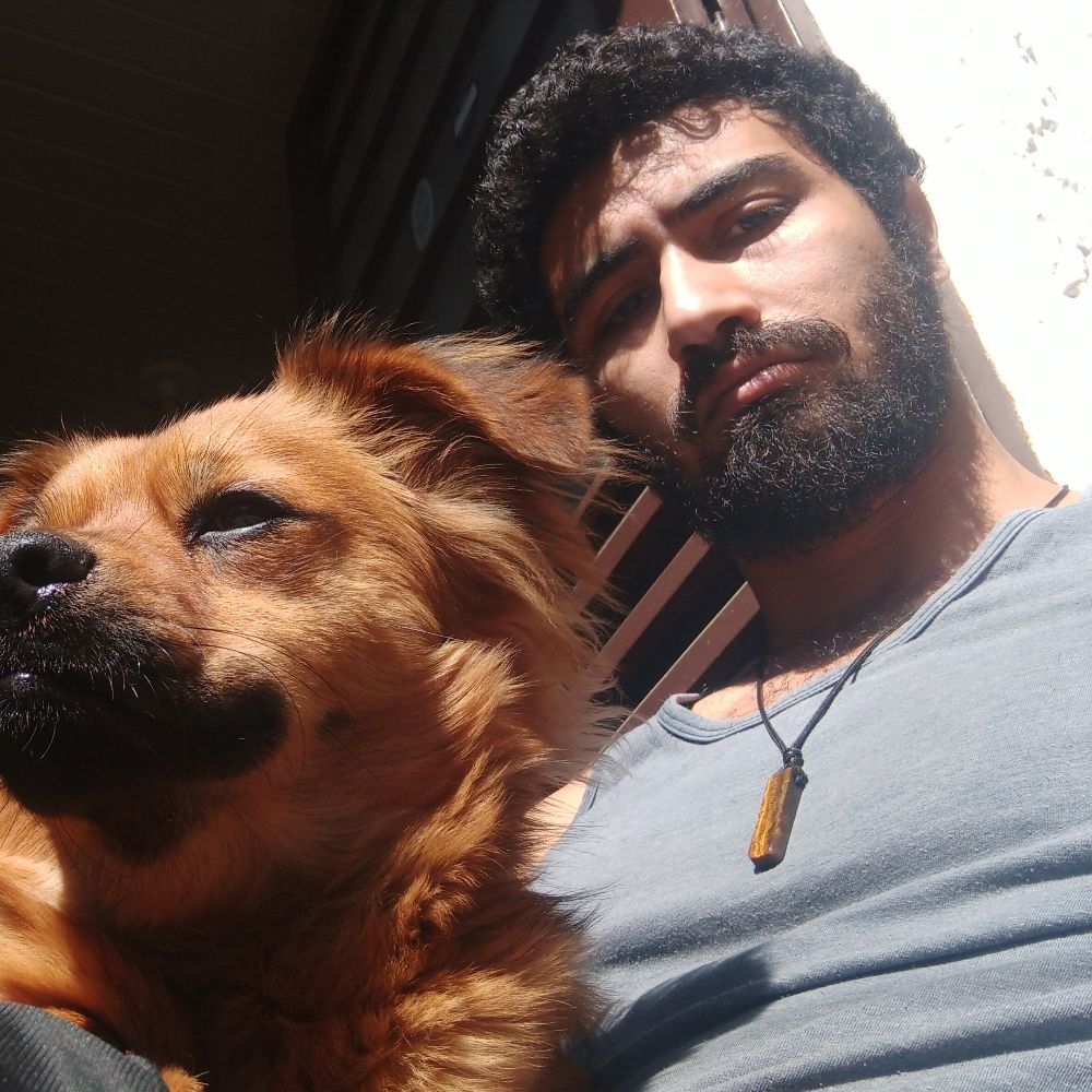 Mestre Splinter