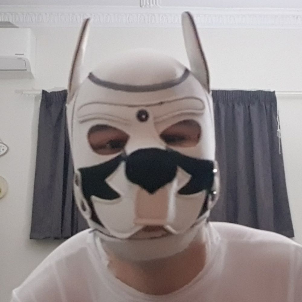 Pino