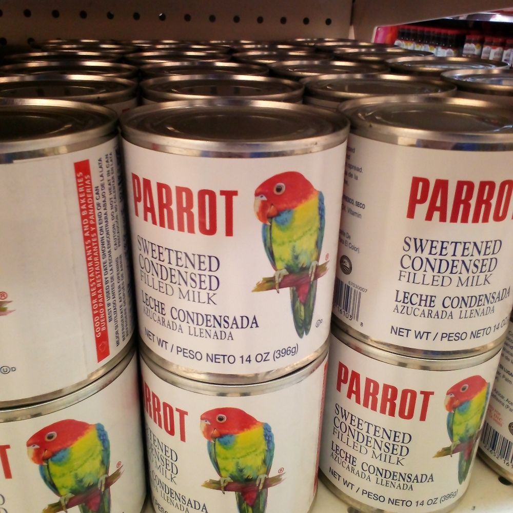 Parrot43 