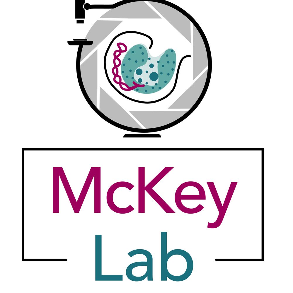 McKey Lab - CU Medical School