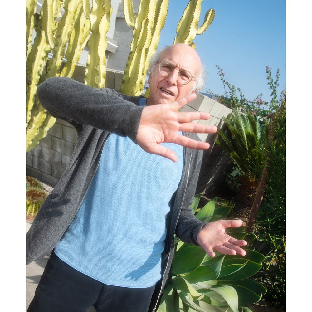 Larry David (parody)