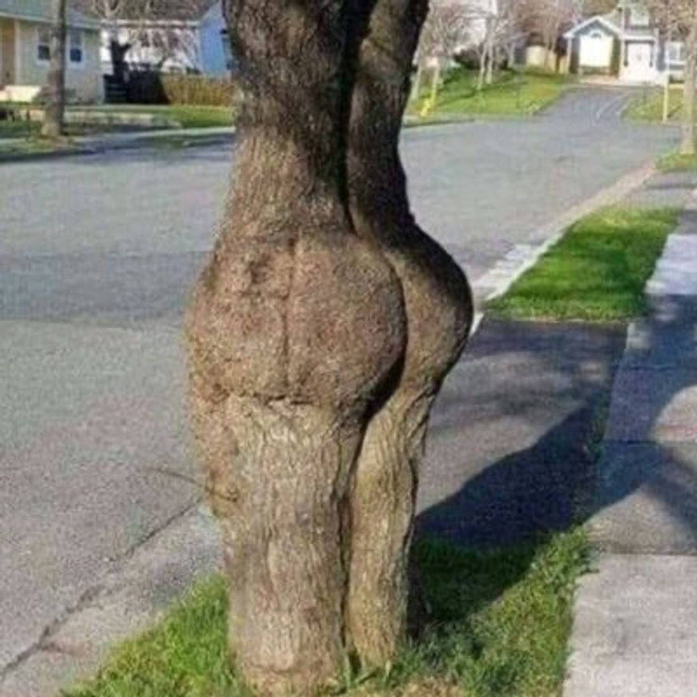 don’t stick your dick in that 