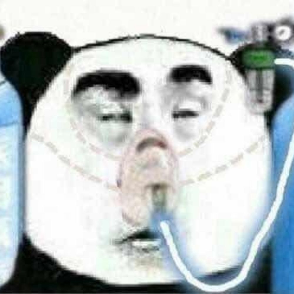 deadass_panda