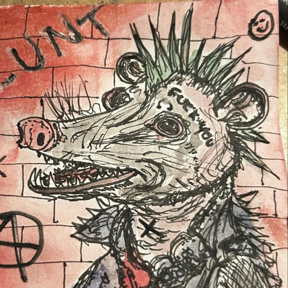 sidvicious.ca profile picture