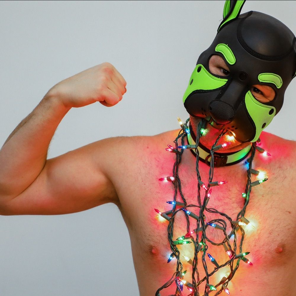 Pup Krypto