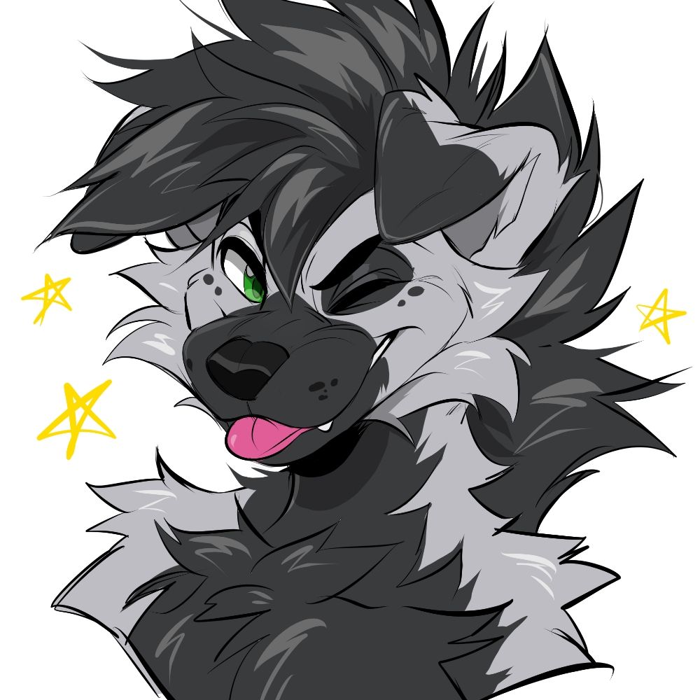 Gabe Collie!
