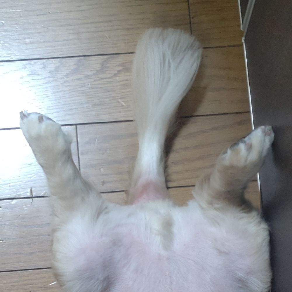 …
