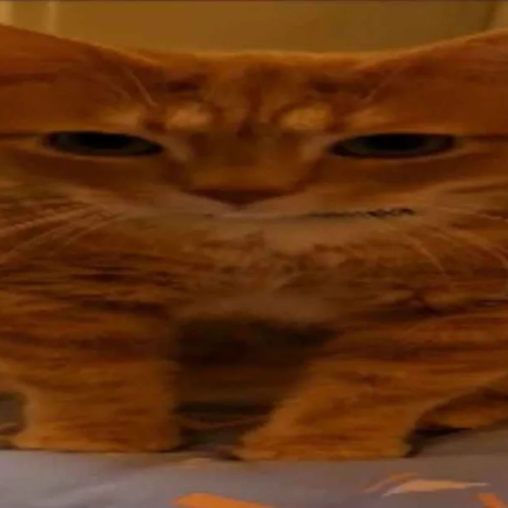 Bonsoir