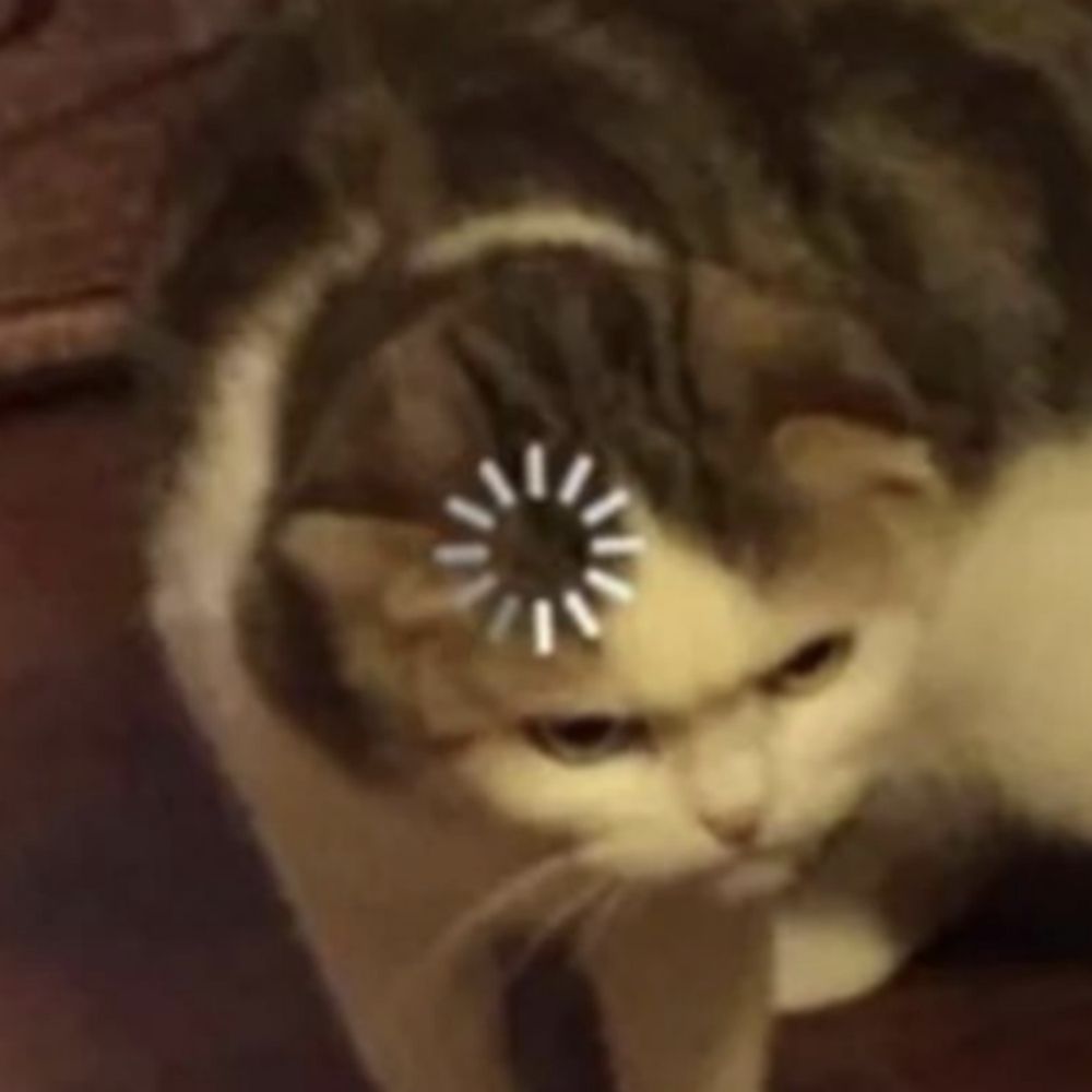 Bishi the Musishi