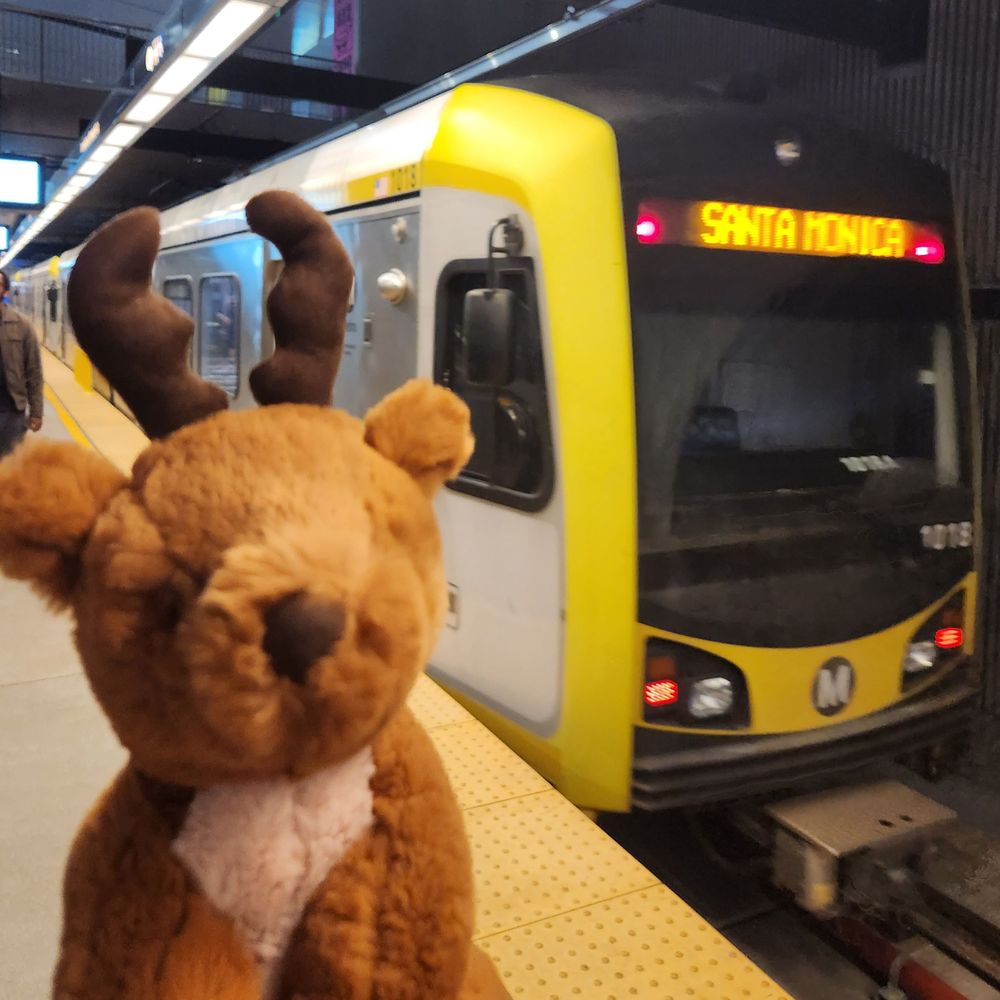 Transit Enthusiast Reindeer