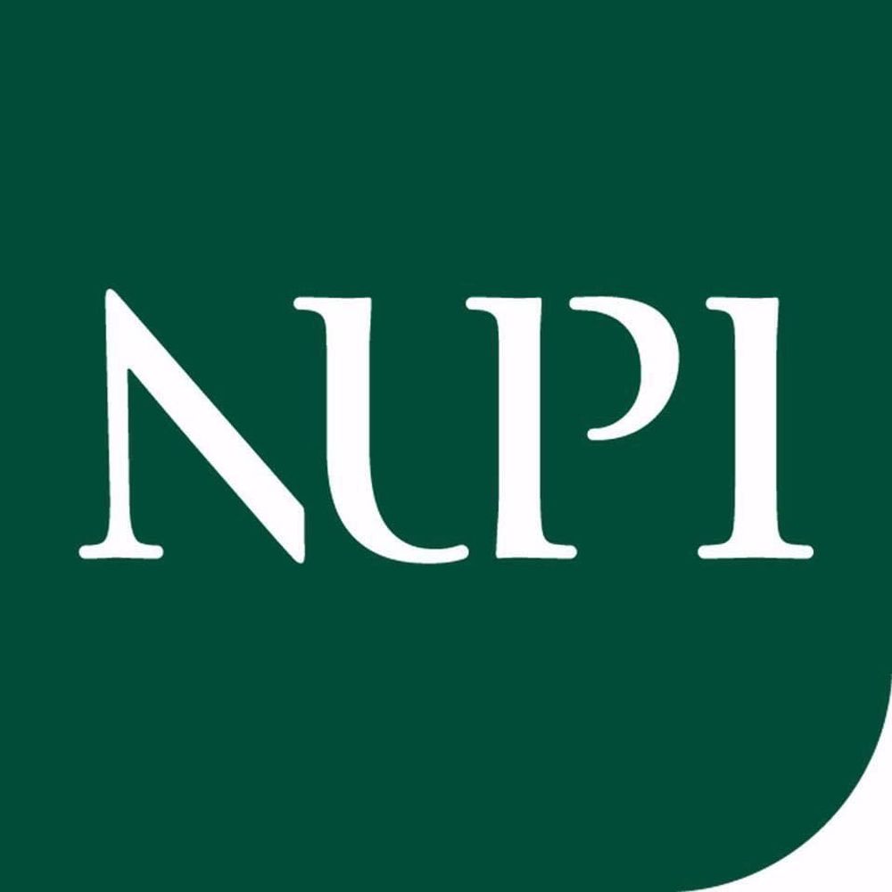 Norwegian Institute of International Affairs