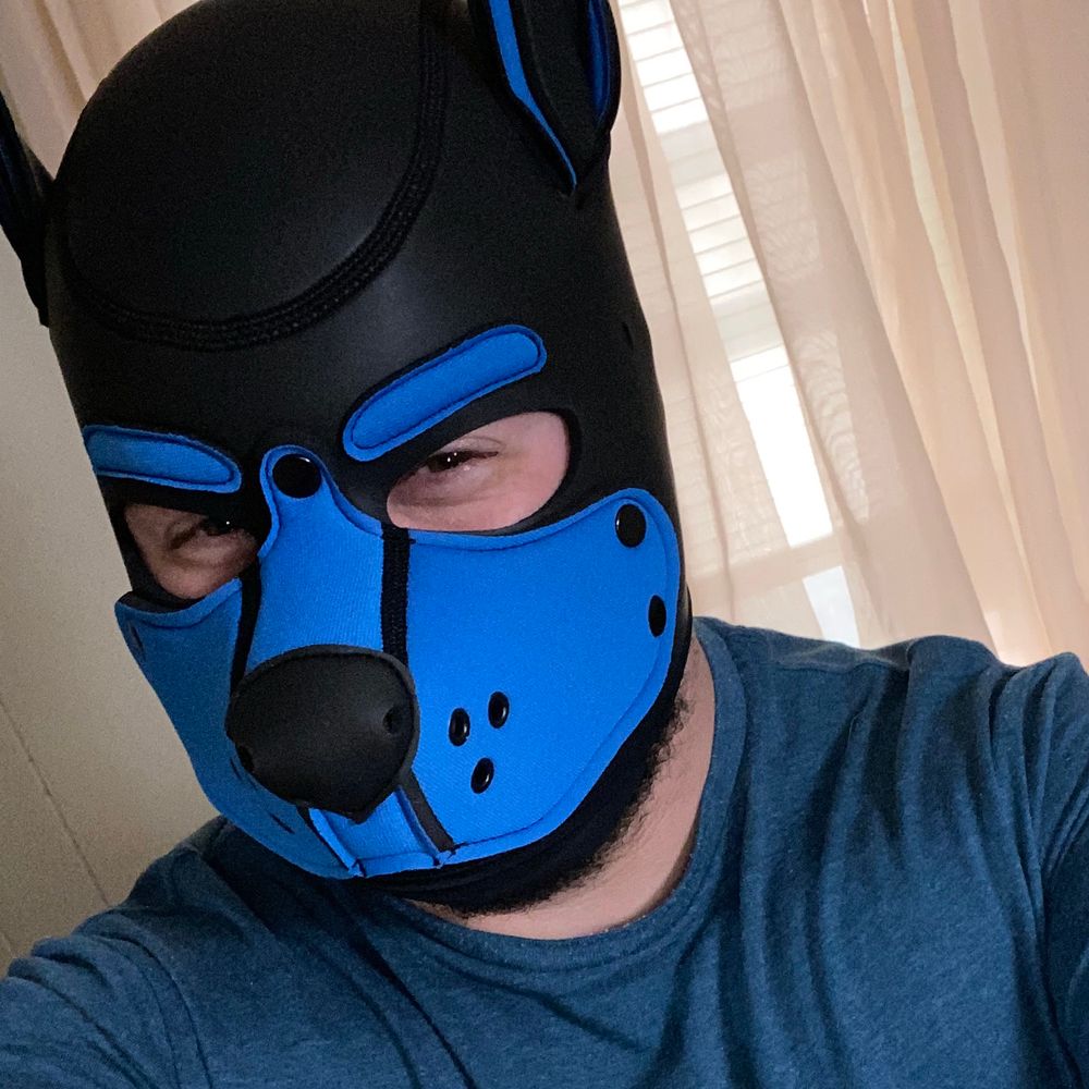 Pup_Colliflower
