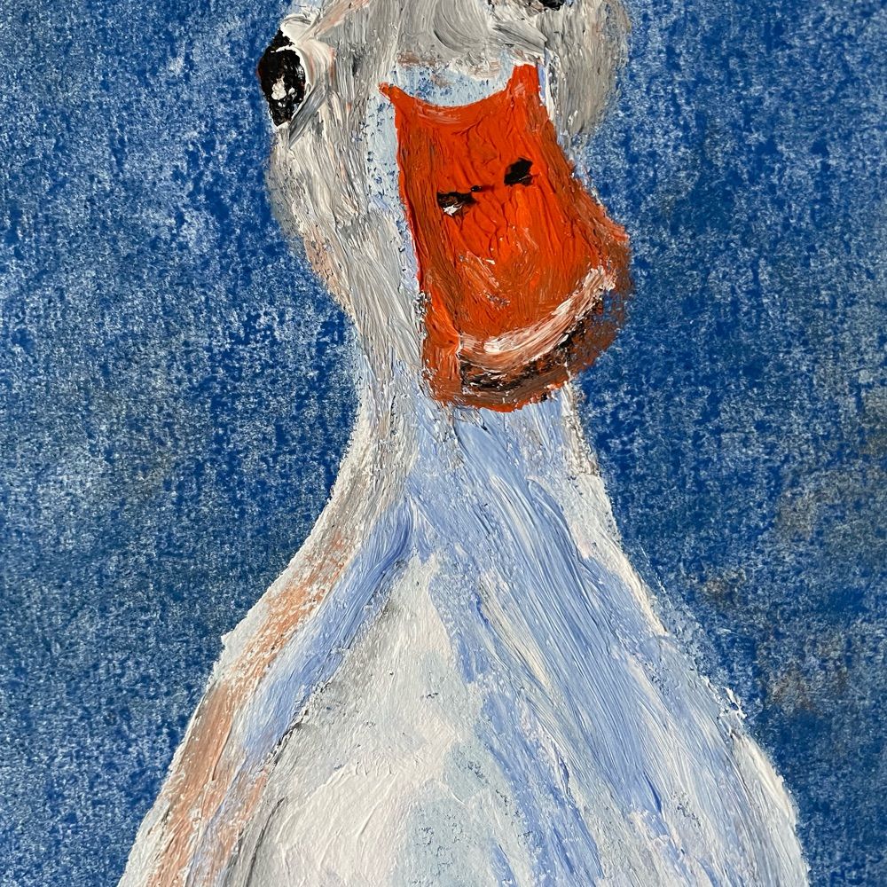 K Mark Schofer