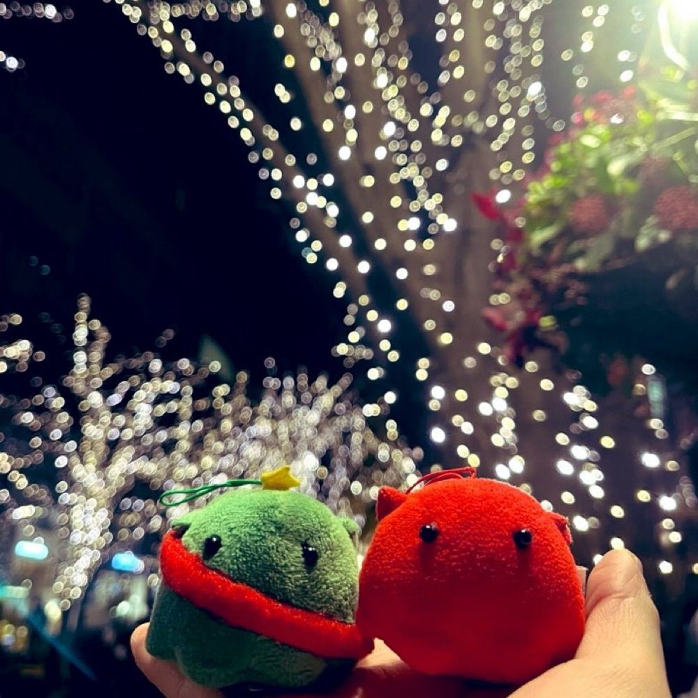 tom。さん太郎