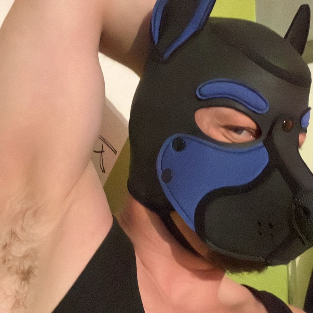 Pup Wally