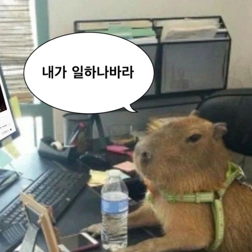 몽게