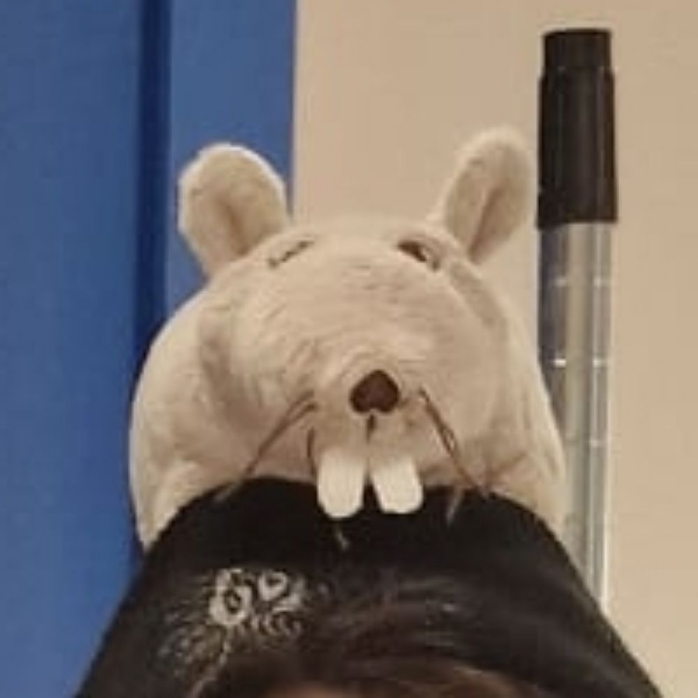Lukaa