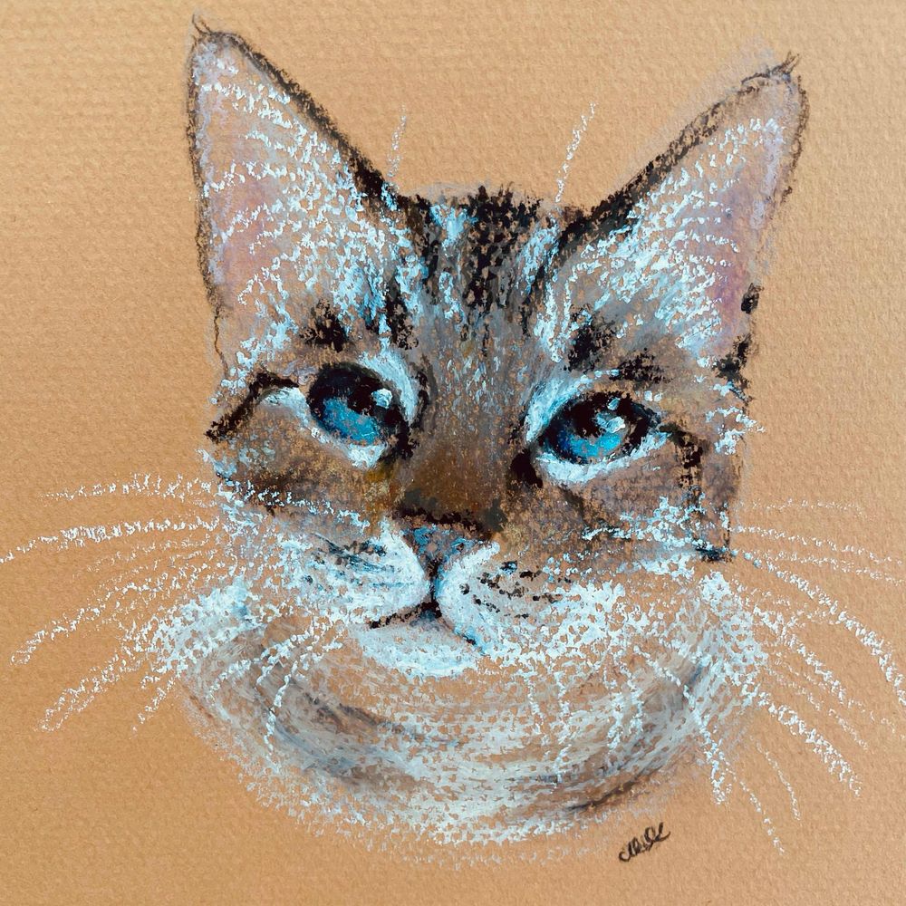 にゃんこ/ Meow Media Studio