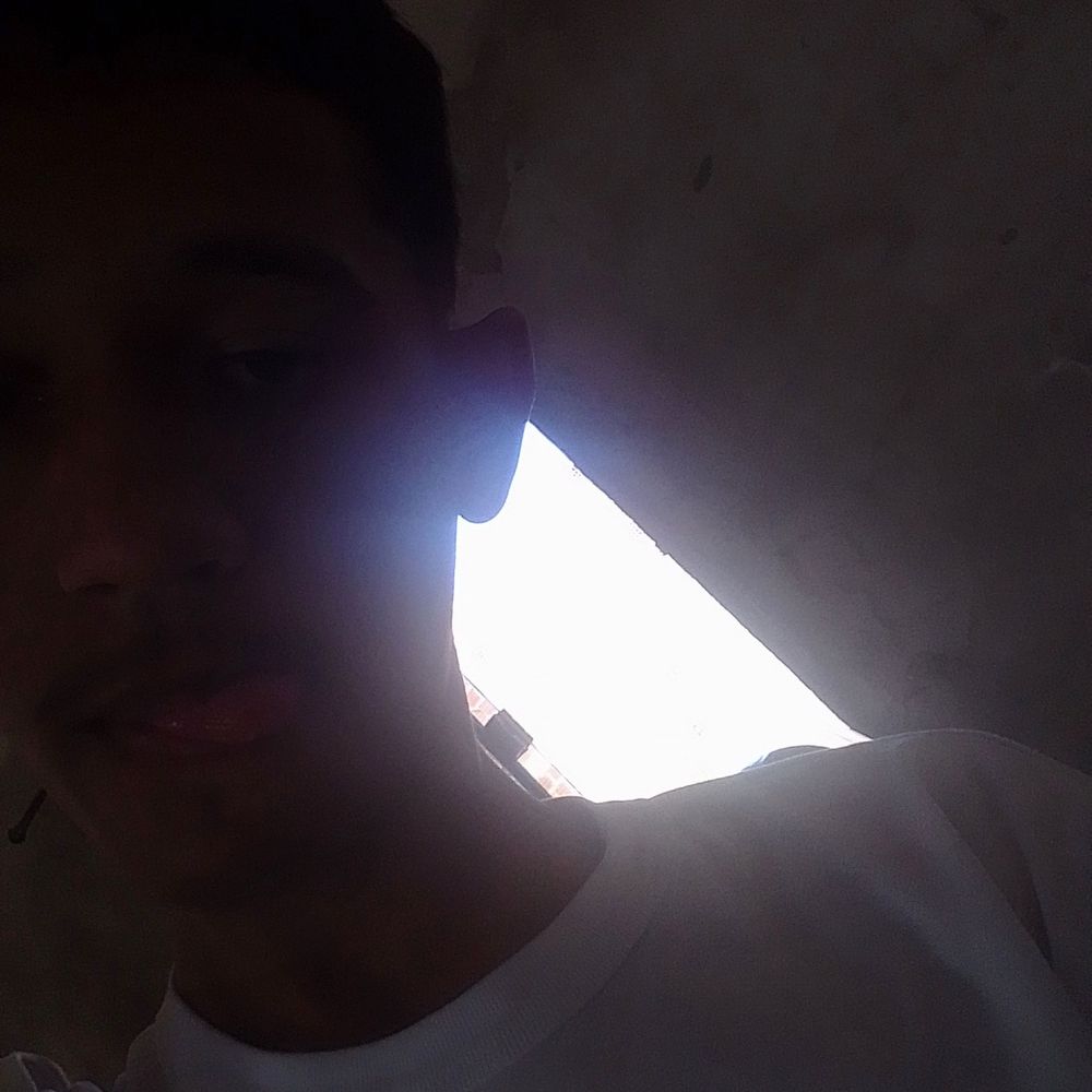 novinho