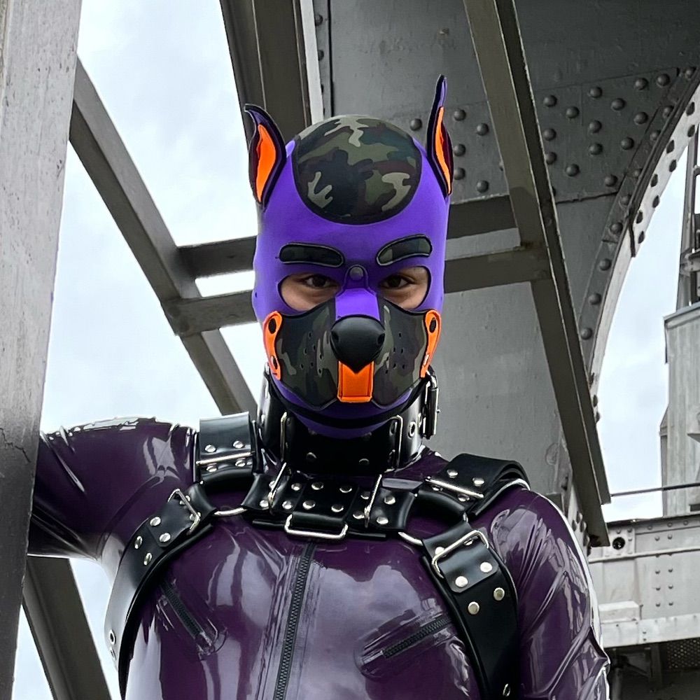 Pup Geode