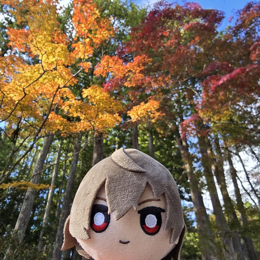 まんじゅう