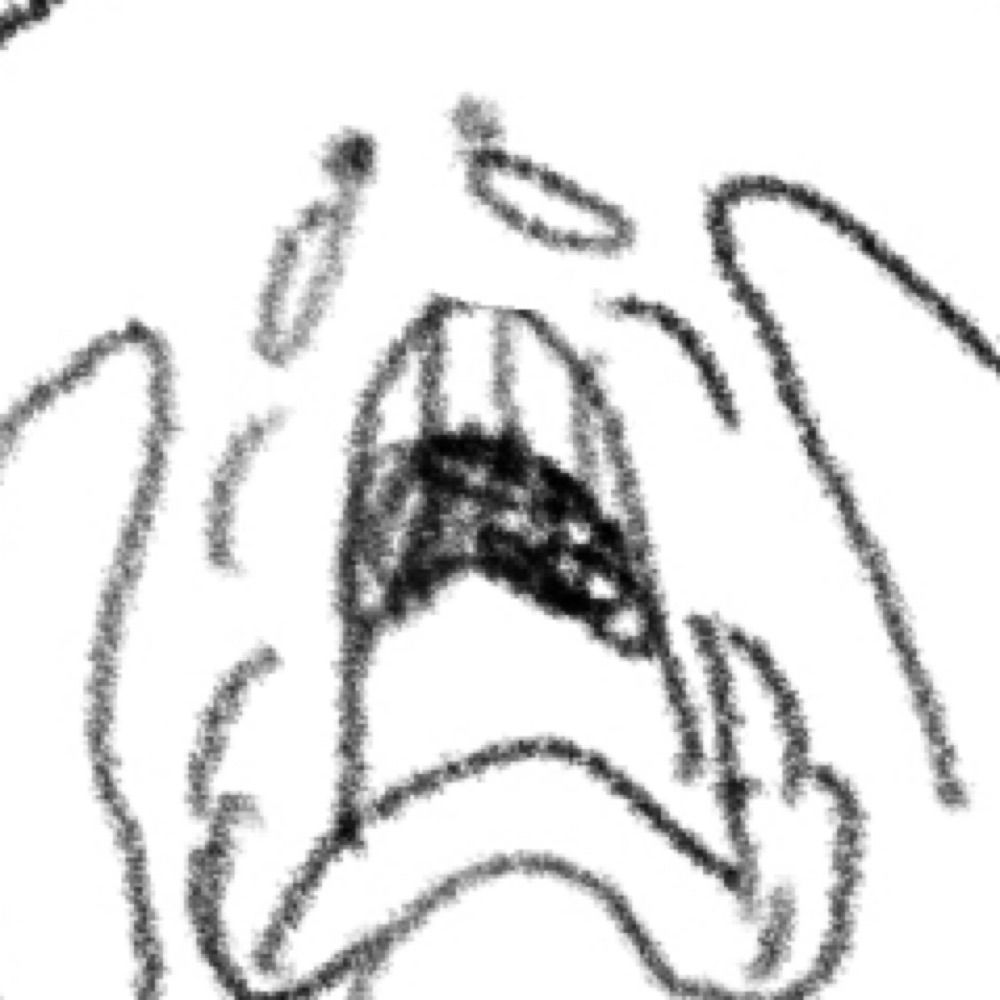ぽ