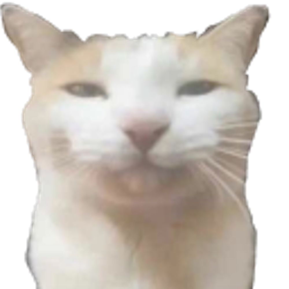 kiloy